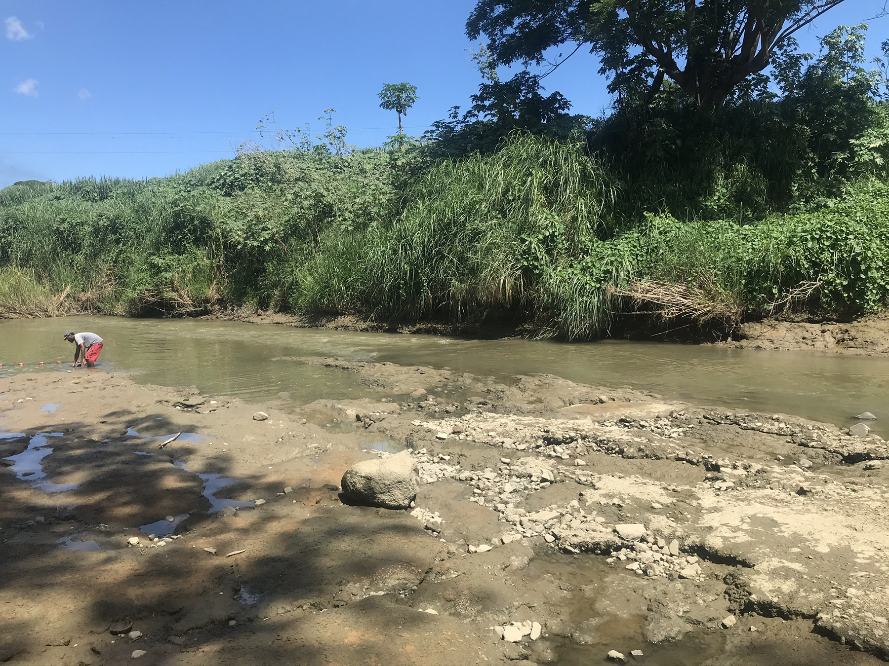 Fish survey, Nadi River estuary, Fiji