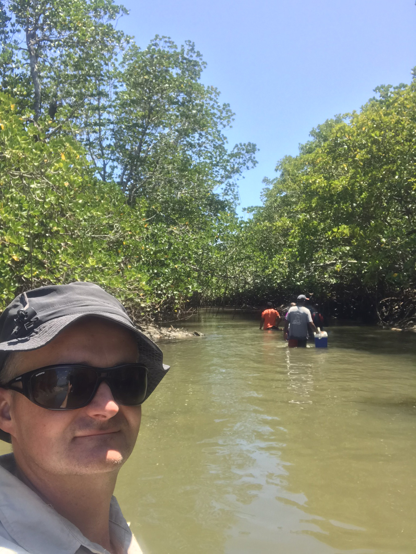 Mangrove survey, Fiji