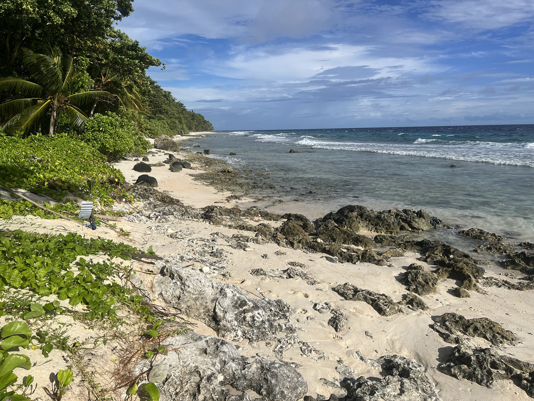 Biosecurity management plan for the construction of Bellona Island Wharf, Solomon Islands
